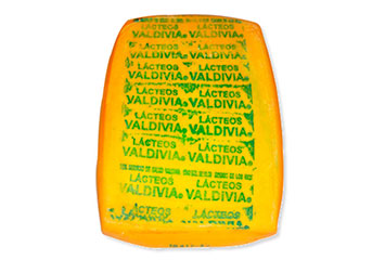 chanco lacteos valdivia